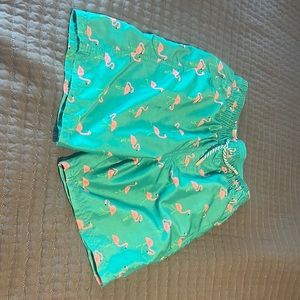 Flamingo swim shorts